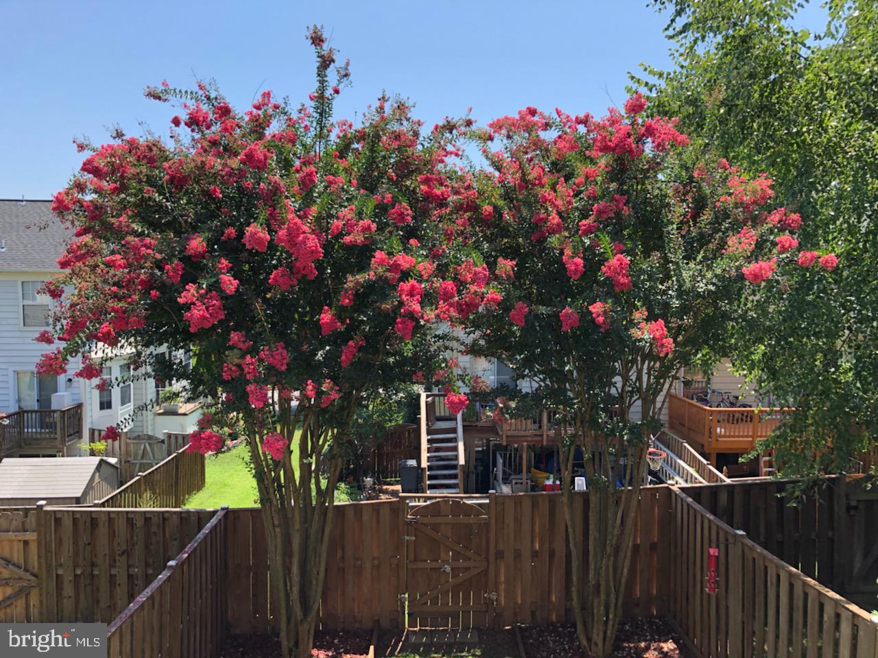 RIDGEFIELD VILLAGE - Residential