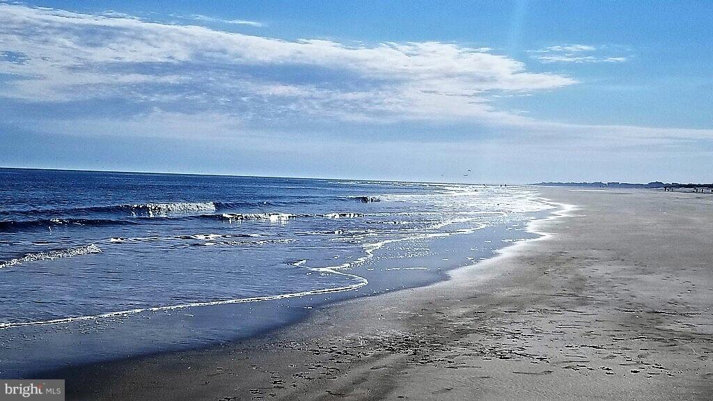 THE POINT - Residential