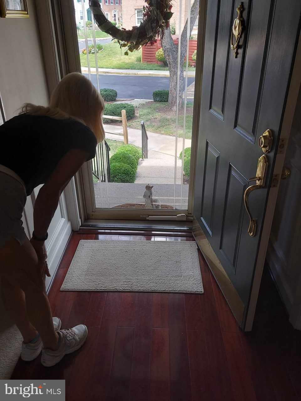 GREENWICH HILL - Residential