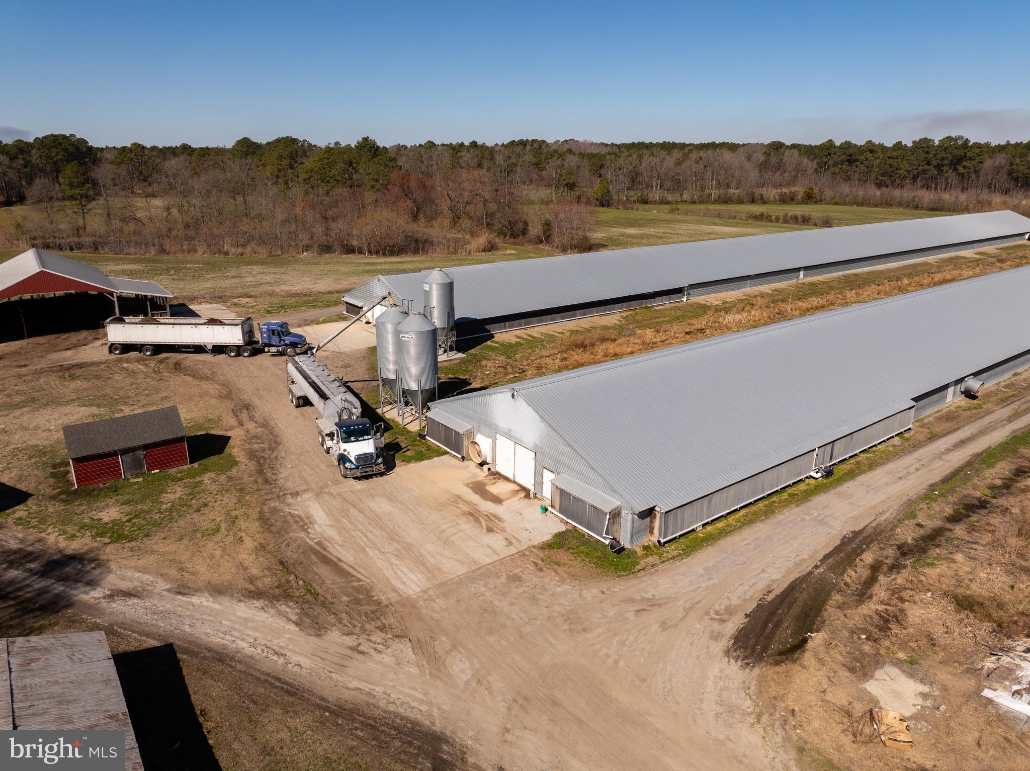 NONE AVAILABLE - Farm