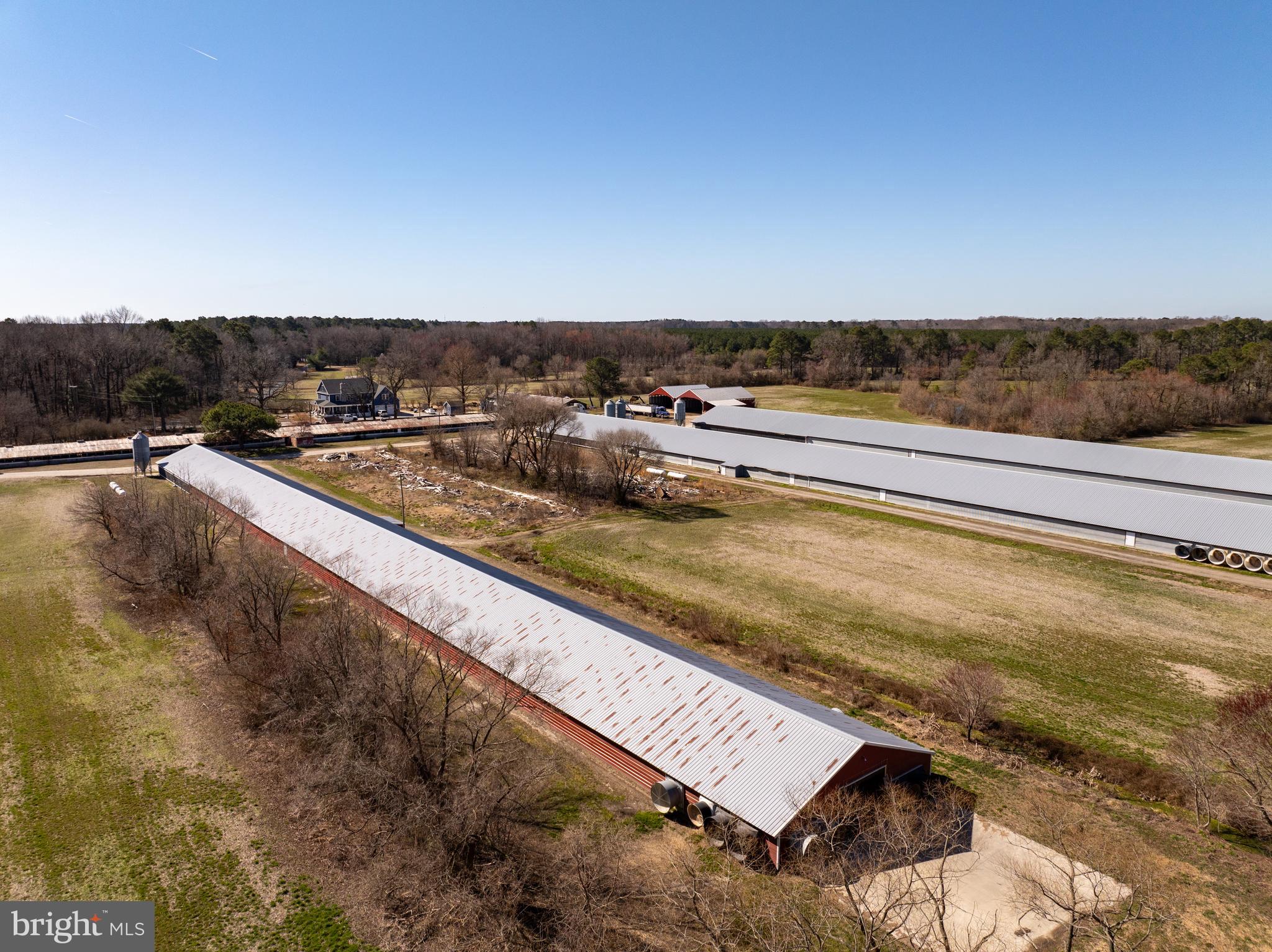 NONE AVAILABLE - Farm