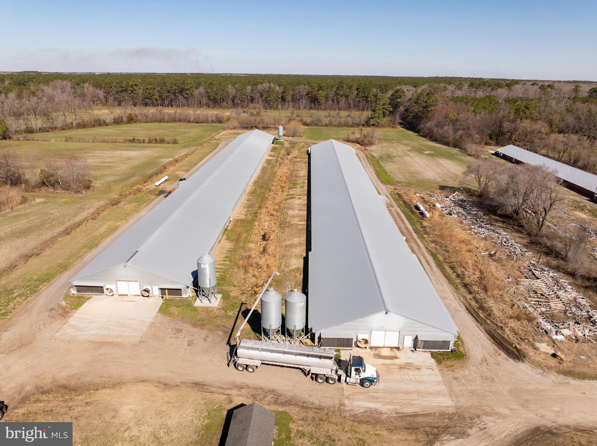 NONE AVAILABLE - Farm