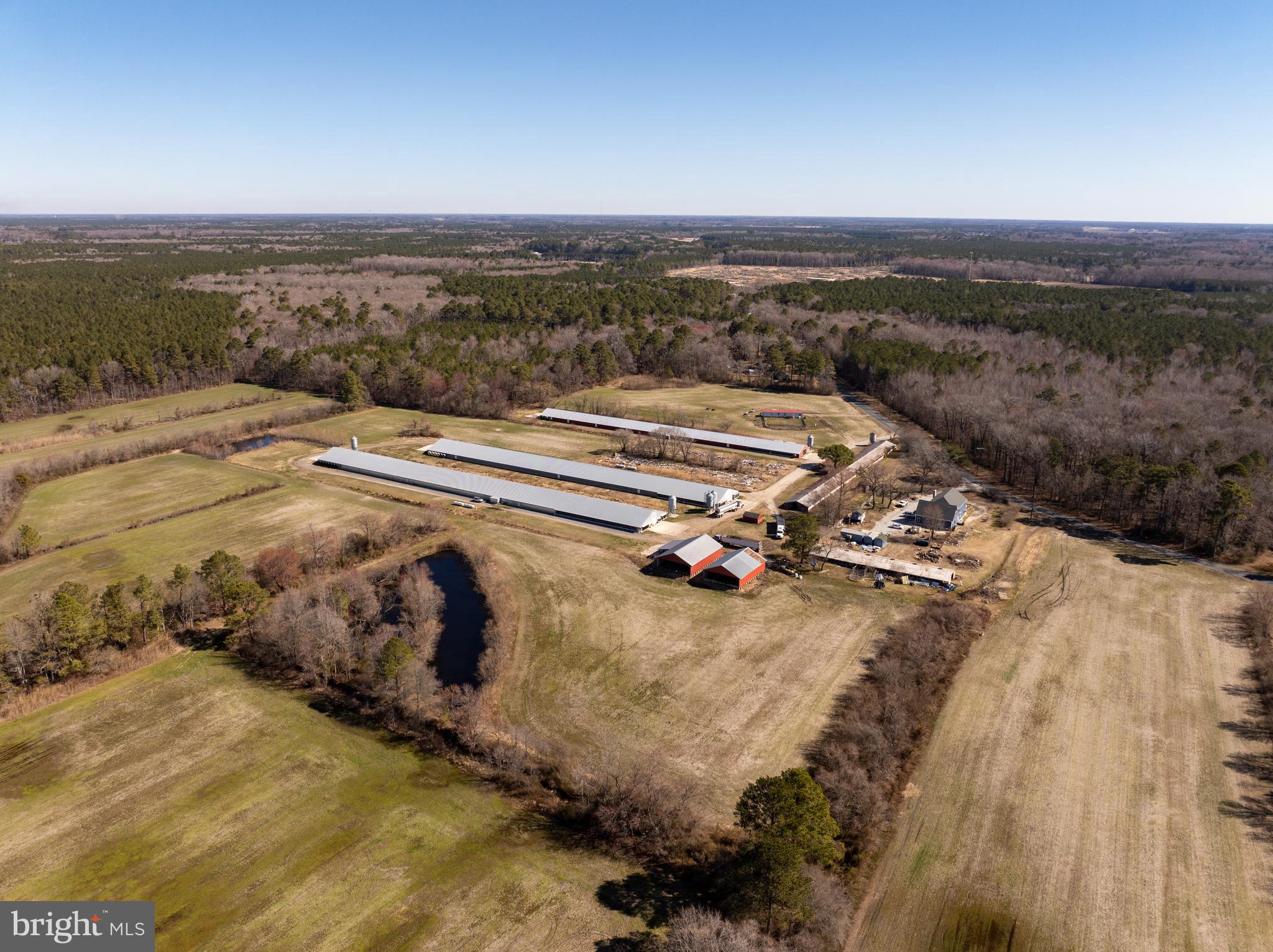 NONE AVAILABLE - Farm