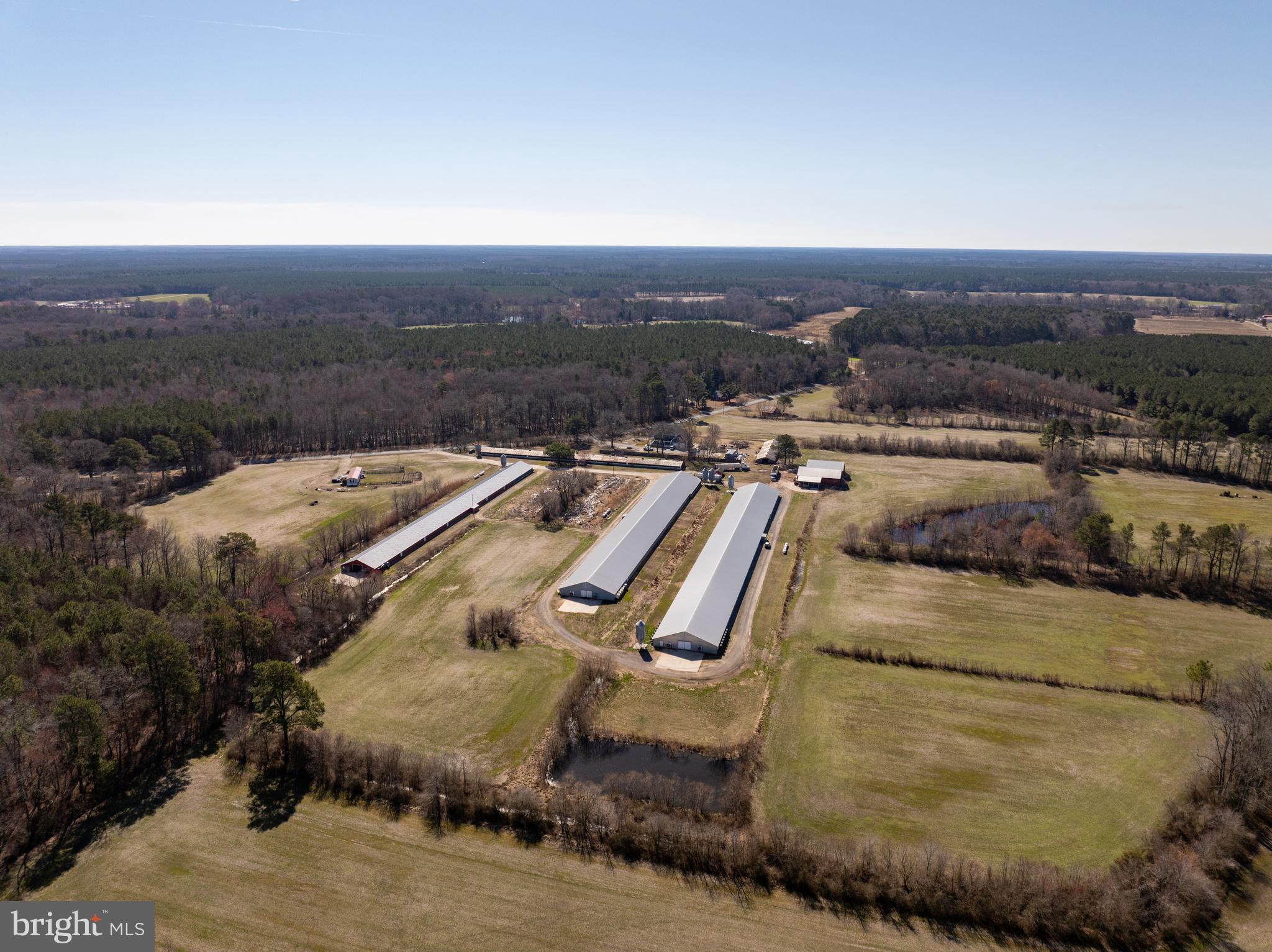 NONE AVAILABLE - Farm