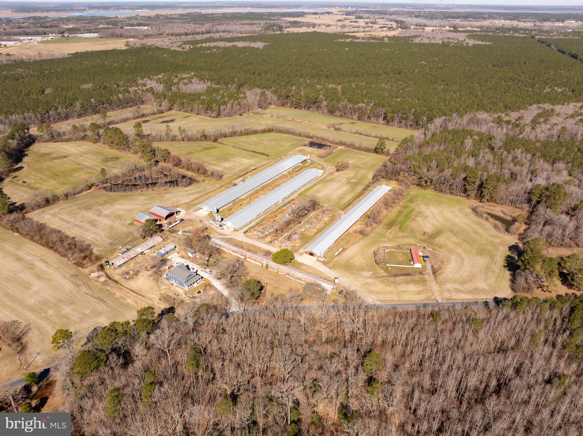 NONE AVAILABLE - Farm