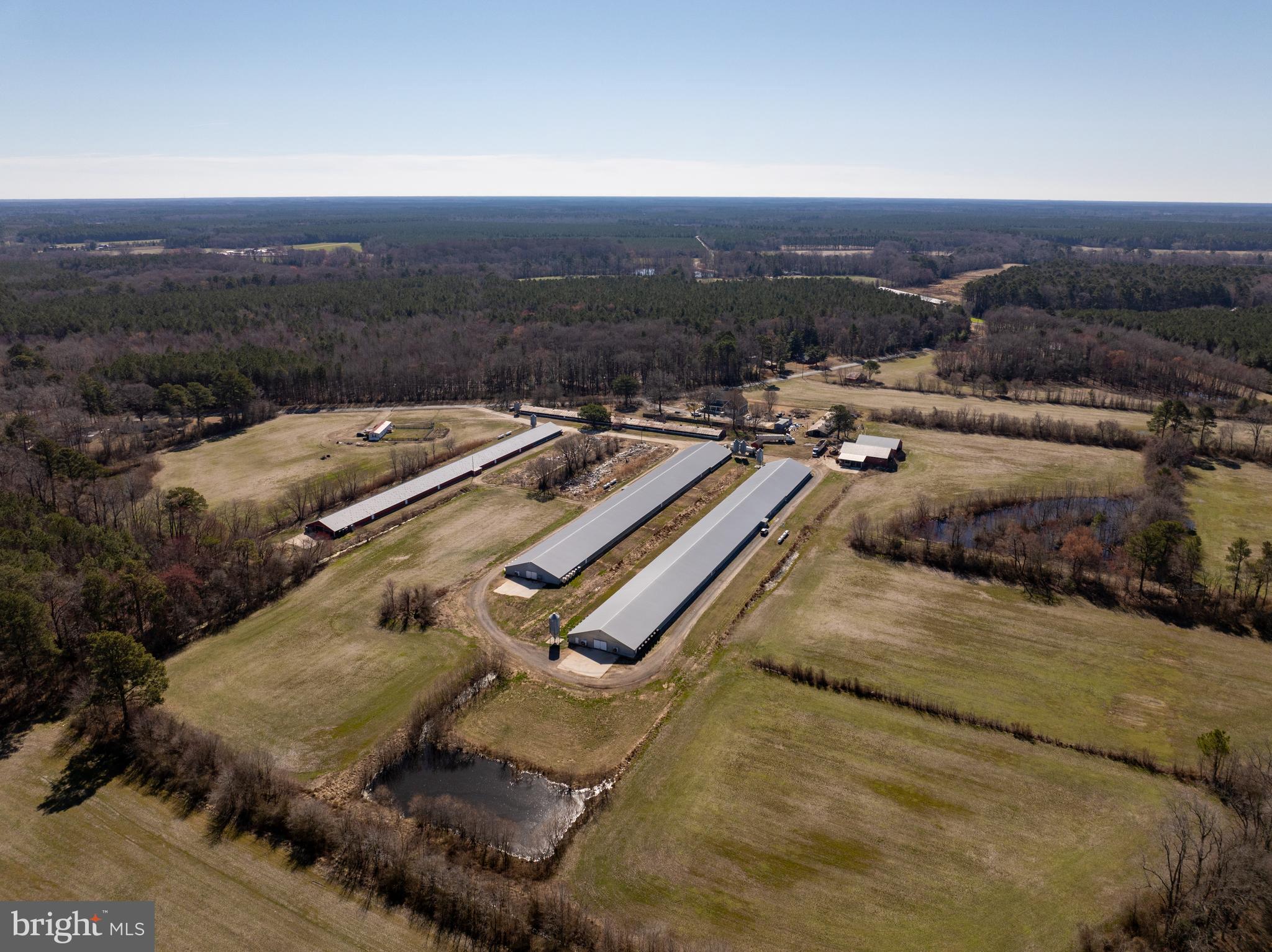 NONE AVAILABLE - Farm