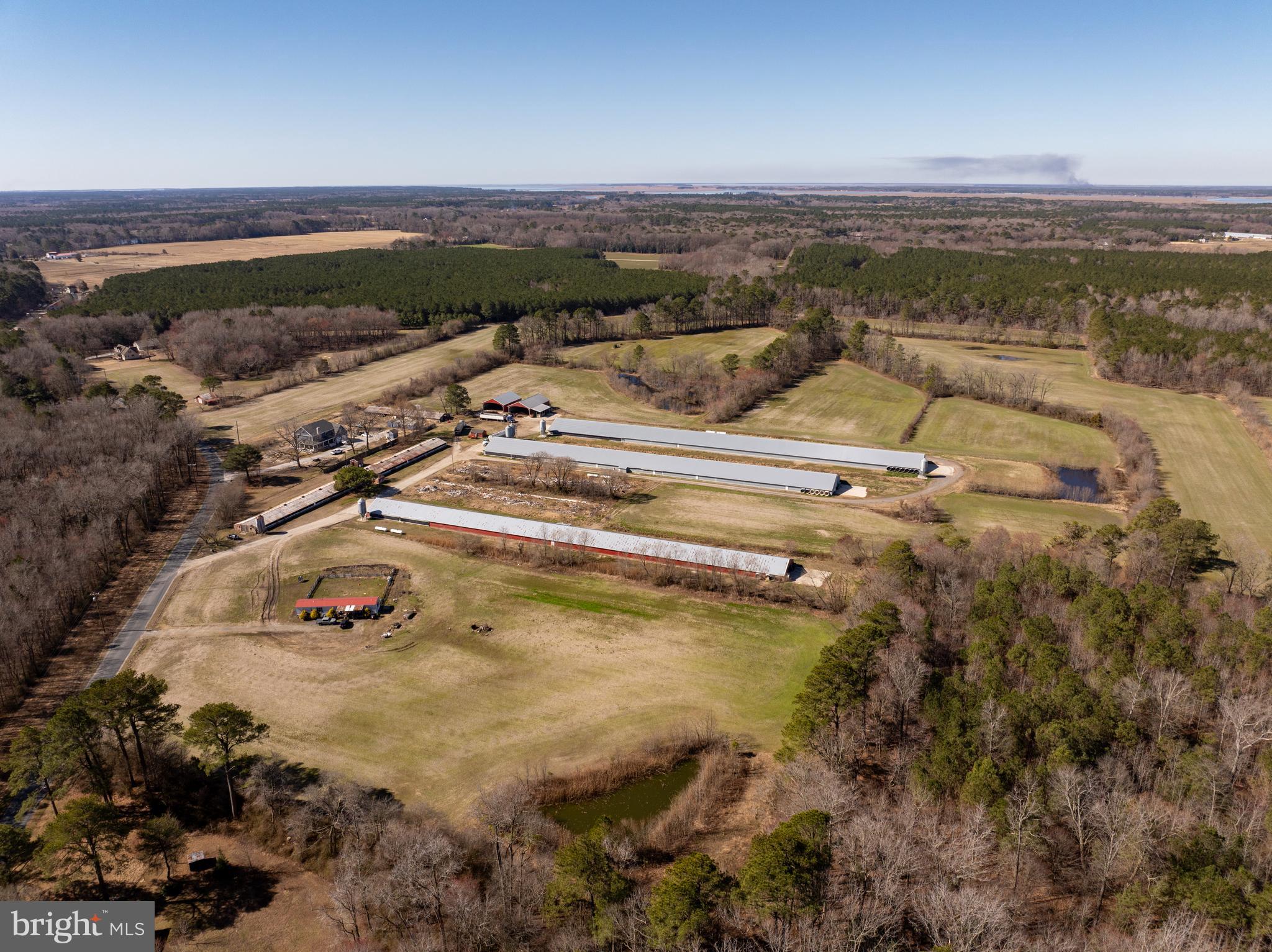 NONE AVAILABLE - Farm