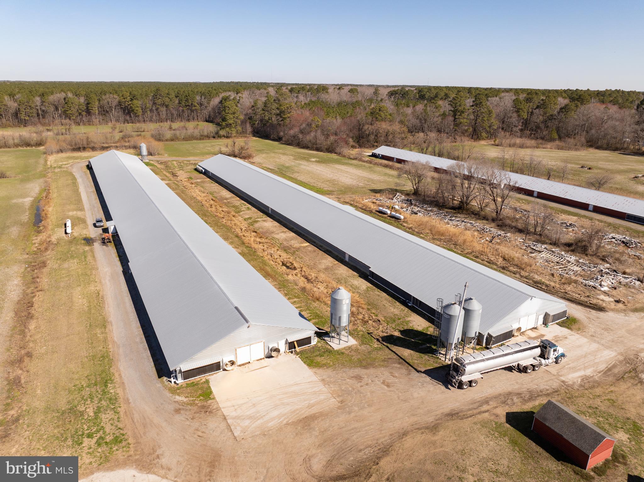 NONE AVAILABLE - Farm