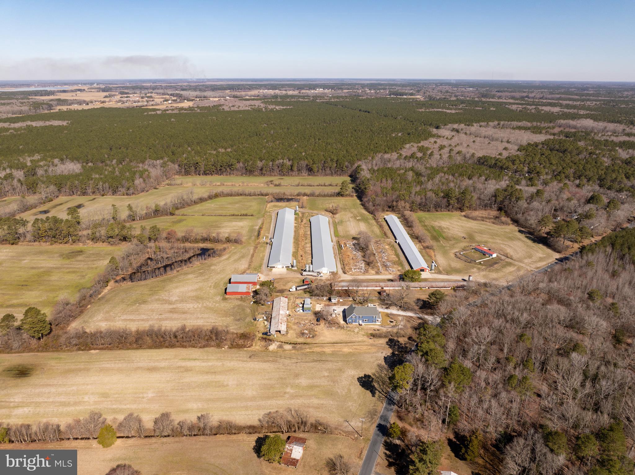 NONE AVAILABLE - Farm