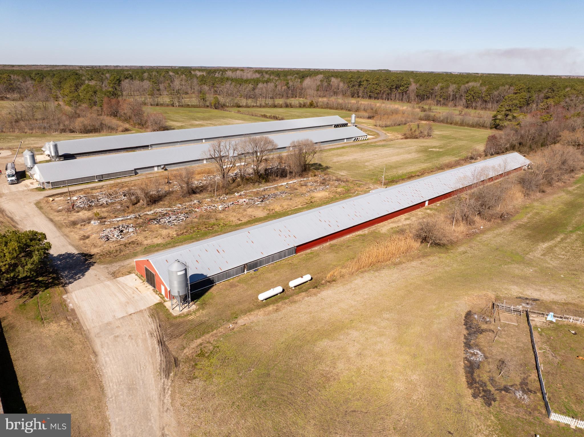 NONE AVAILABLE - Farm