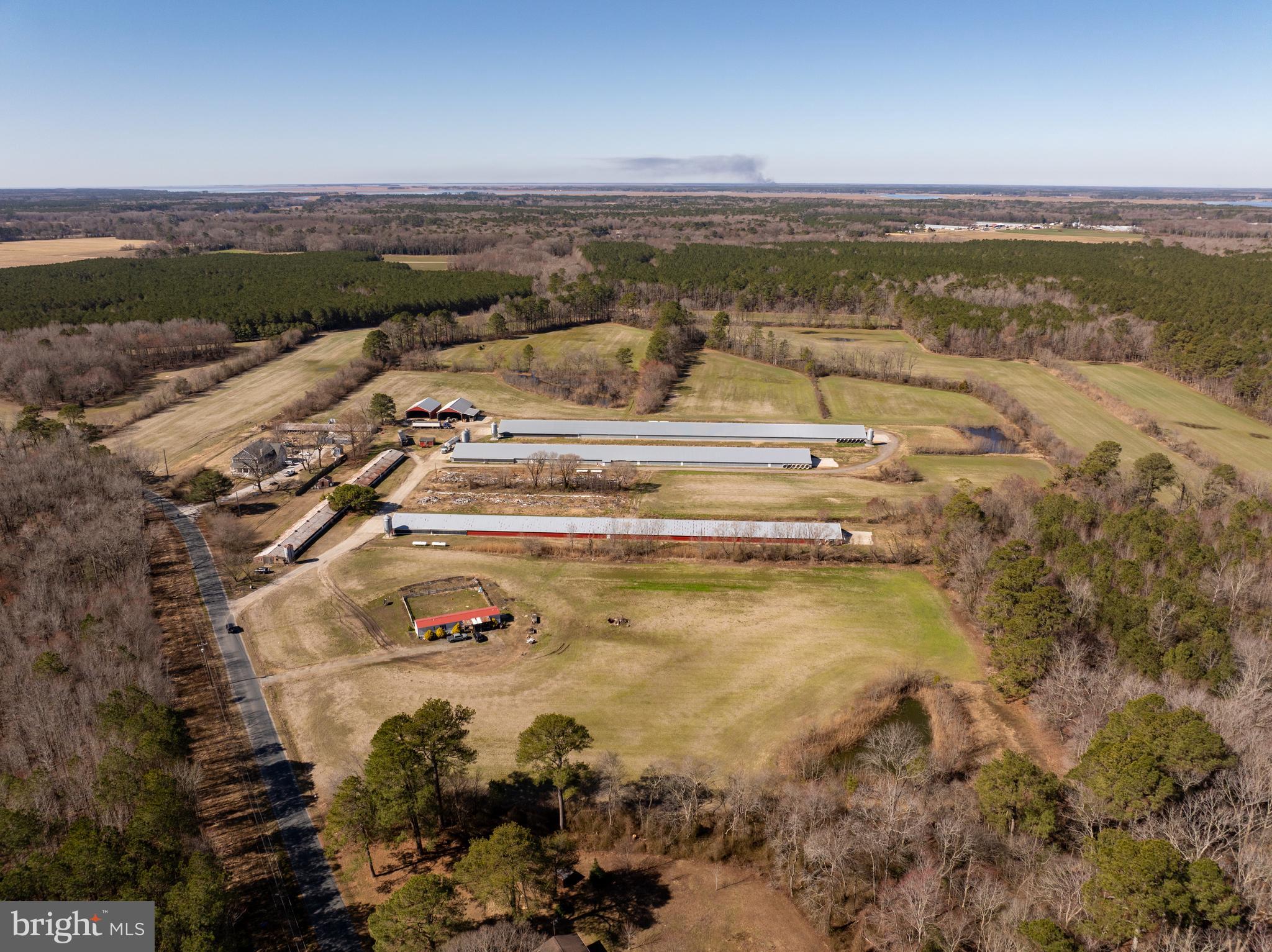 NONE AVAILABLE - Farm