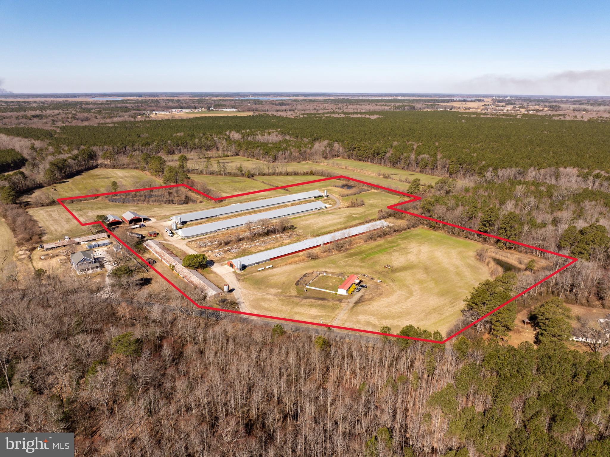 NONE AVAILABLE - Farm