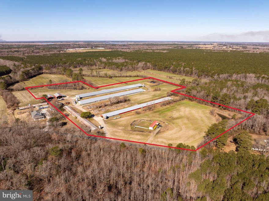 Three house fully updated chicken farm with residence currently growing for Allen Harim.

Chicken House dimensions and ages:
60 x 560 (built in 2014)
60 x 500 (built in 2010)
42 x 500 (built in 2000)
 
All necessary upgrades have been completed, ensuring compliance with Allen Harim requirements. Current owner has letter of intent from Allen Harim to build an additional 60x500 poultry house, offering expansion potential. The property also includes a single-wide modular home, providing on-site living convenience. This is a great opportunity for both new and experienced growers looking to invest in a poultry operation with room to grow. Do Not enter property without permission from The Land Group.  Birds move end of May. CALL LISTING AGENT FOR SHOWING APPOINTMENT.