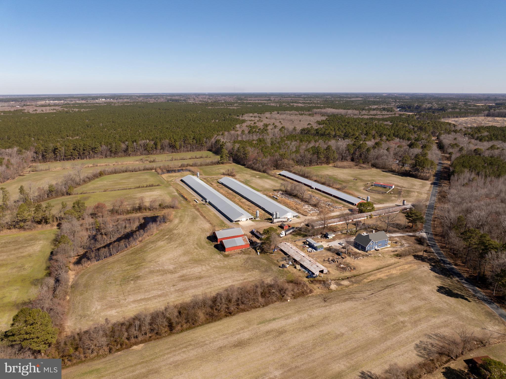 NONE AVAILABLE - Farm