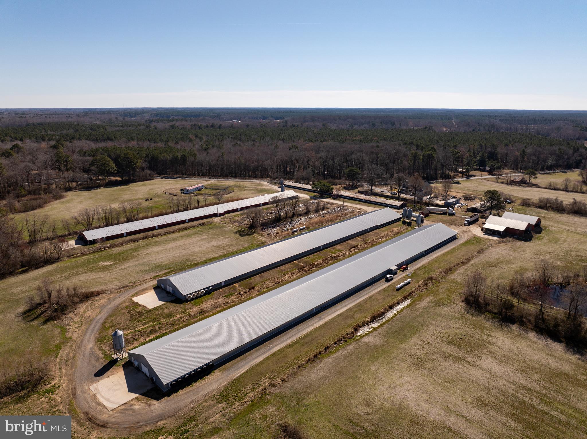 NONE AVAILABLE - Farm