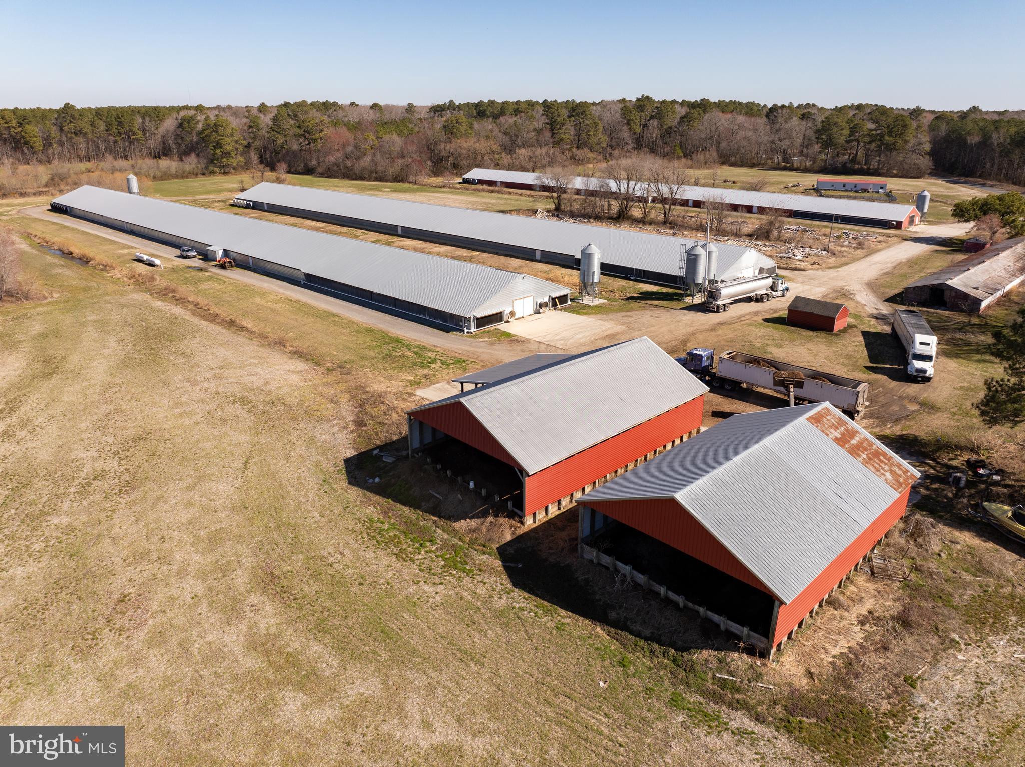 NONE AVAILABLE - Farm