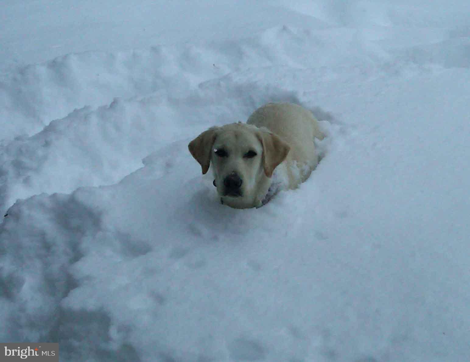 WESTERN RUN - Residential