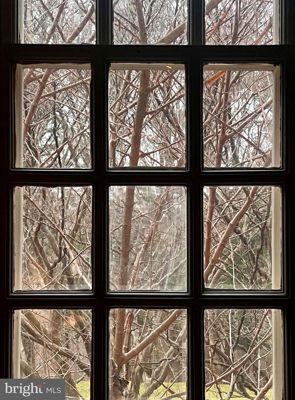 WESTERN RUN - Residential