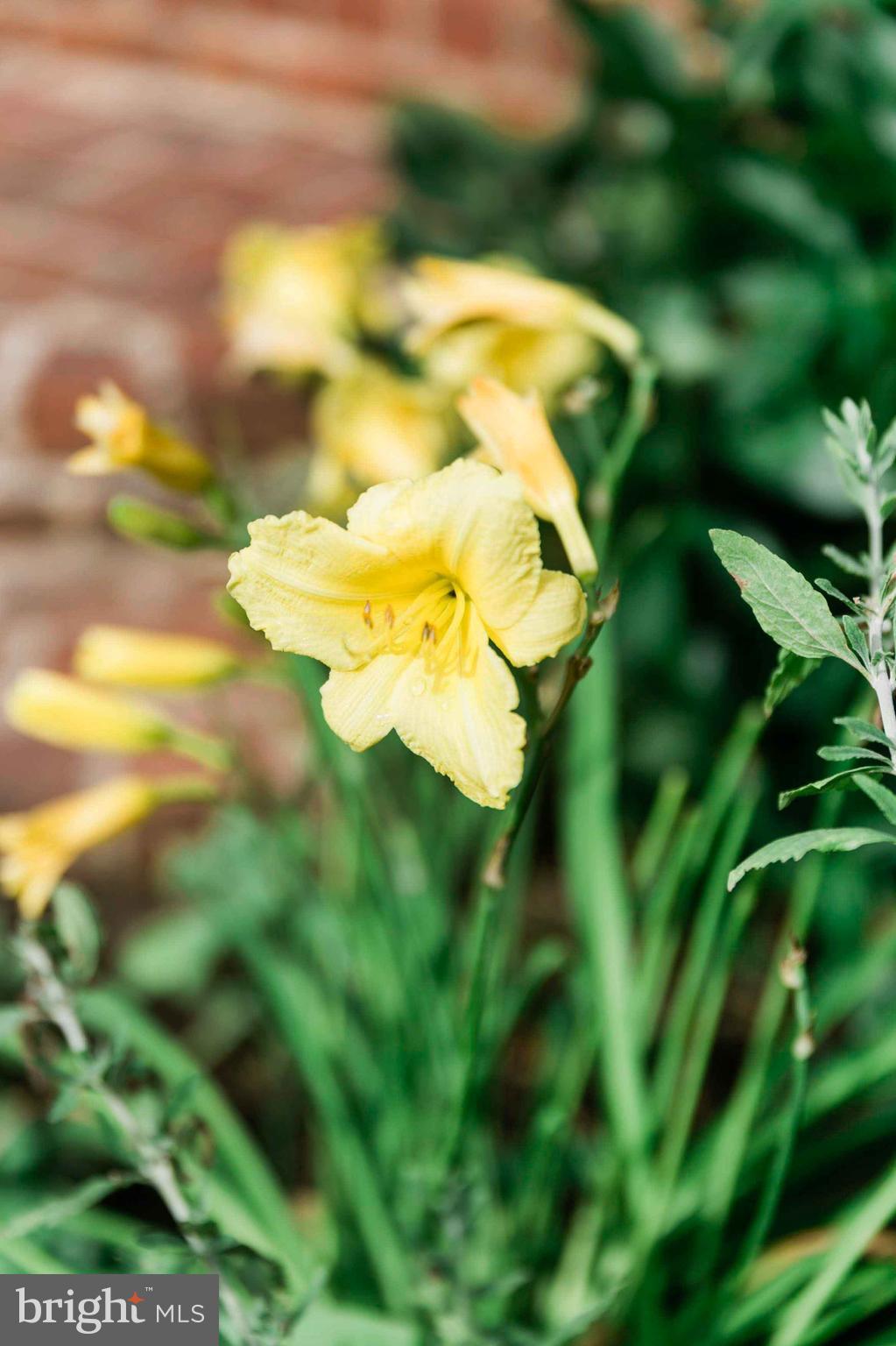 WESTERN RUN - Residential