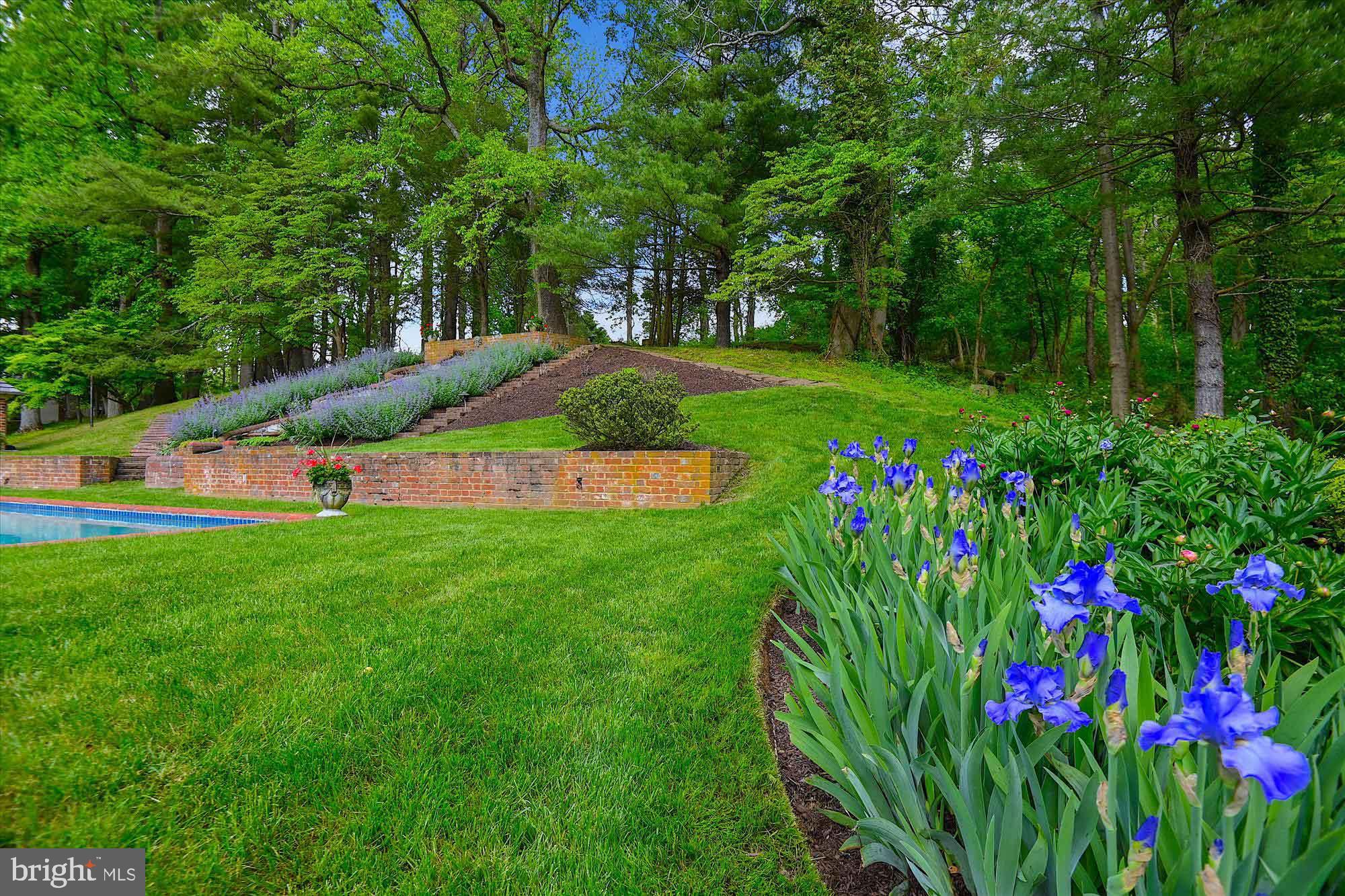 WESTERN RUN - Residential