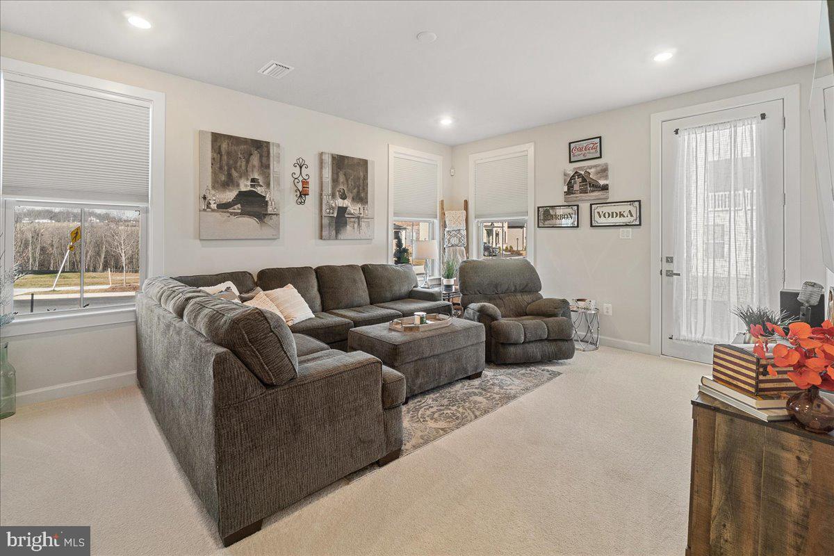 LAKE LINGANORE TOWN CENTER - Residential