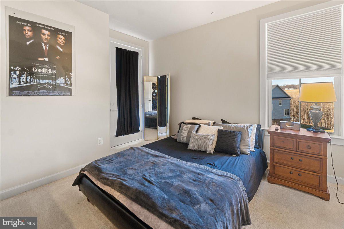 LAKE LINGANORE TOWN CENTER - Residential