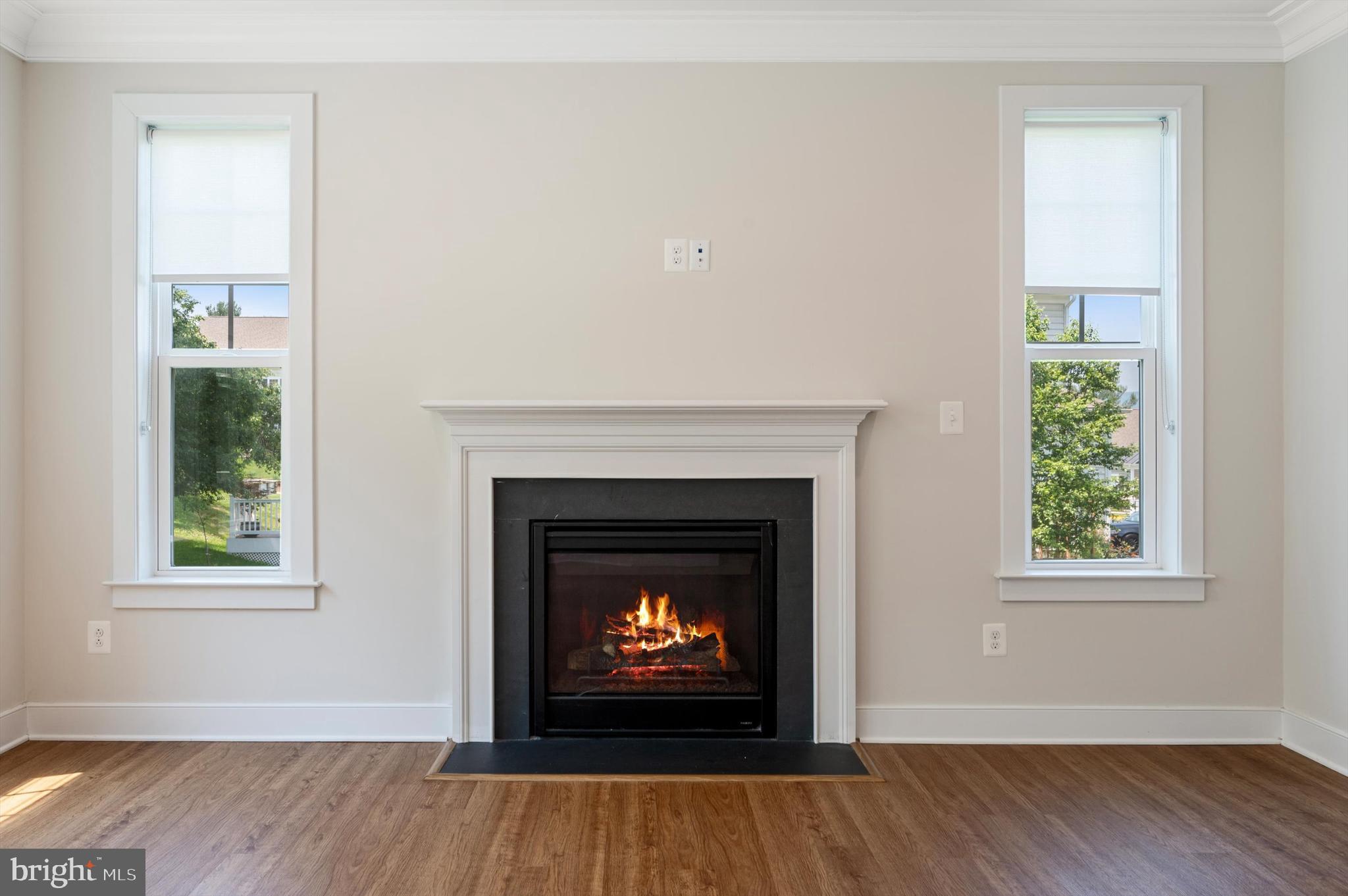 BLUE RIDGE ESTATES - Residential