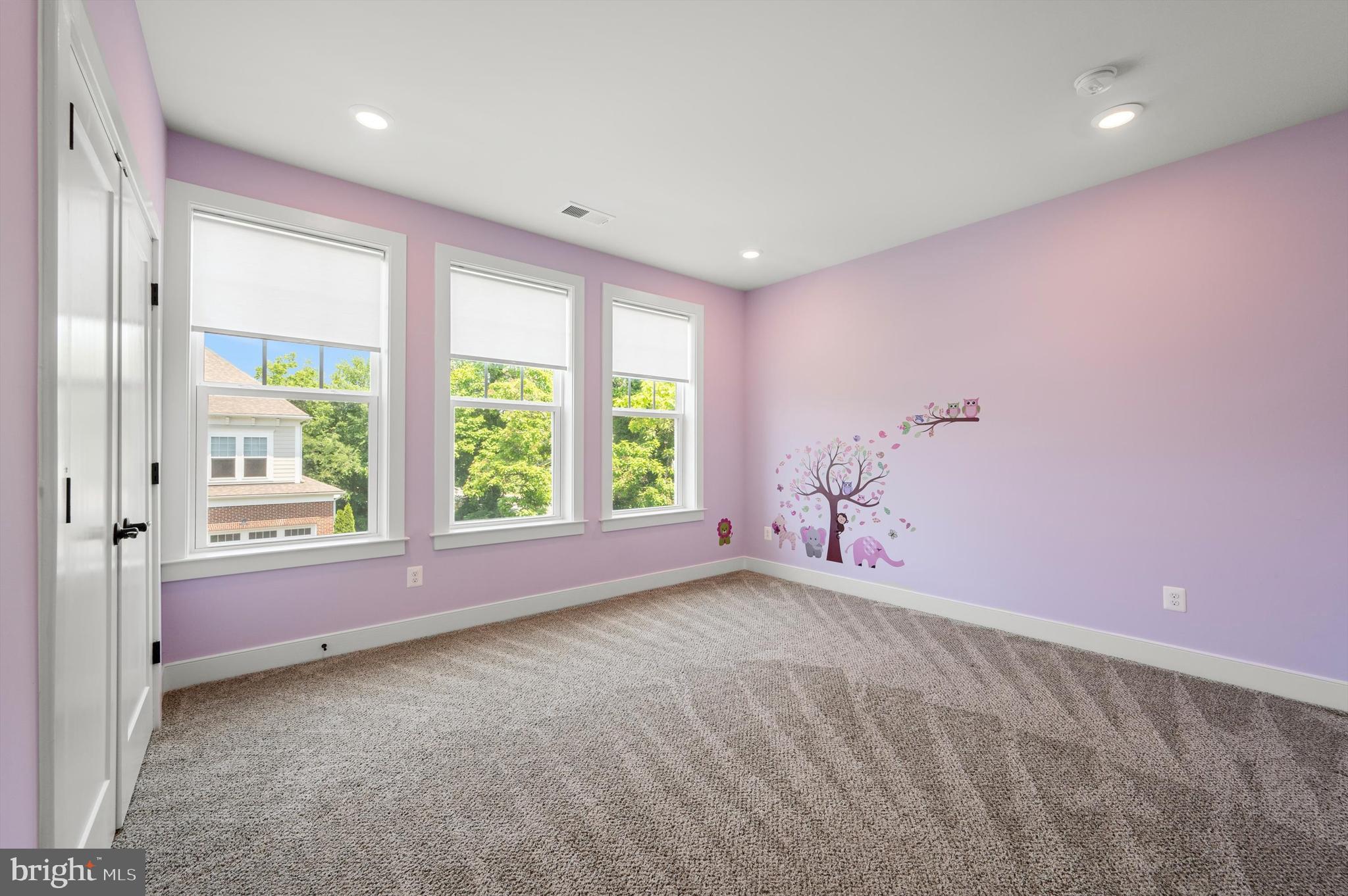 BLUE RIDGE ESTATES - Residential