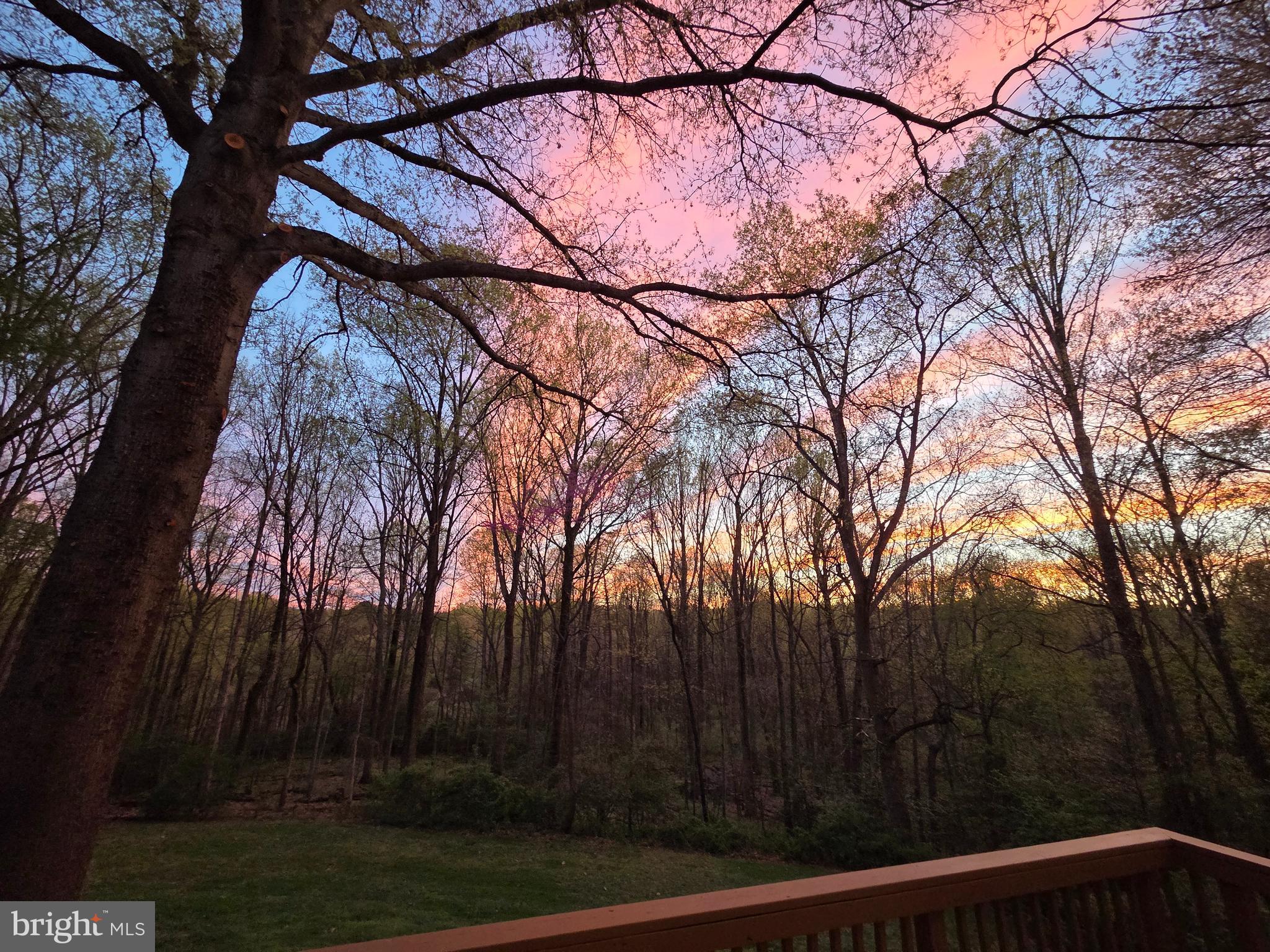 AVON PARK - Residential