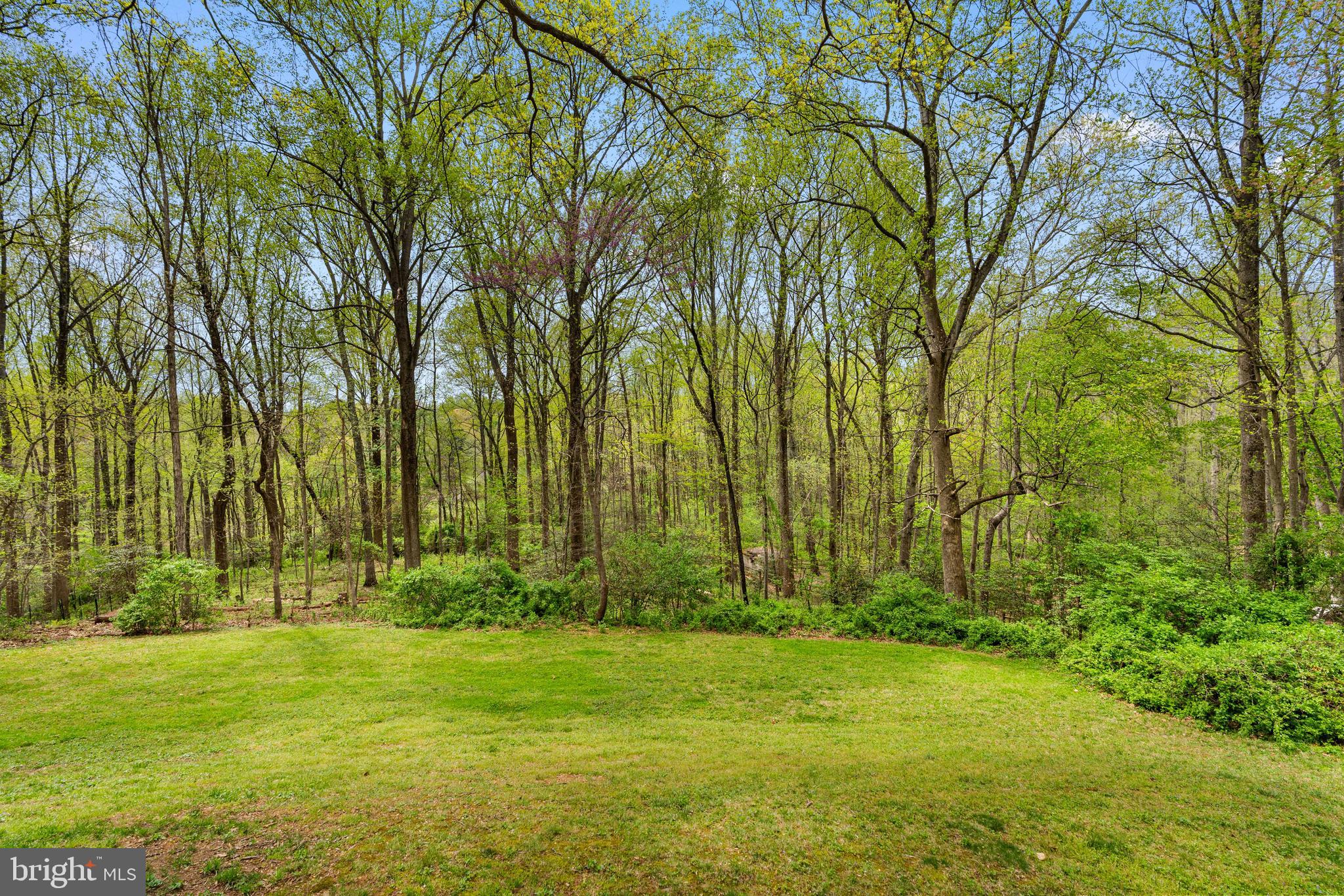 AVON PARK - Residential