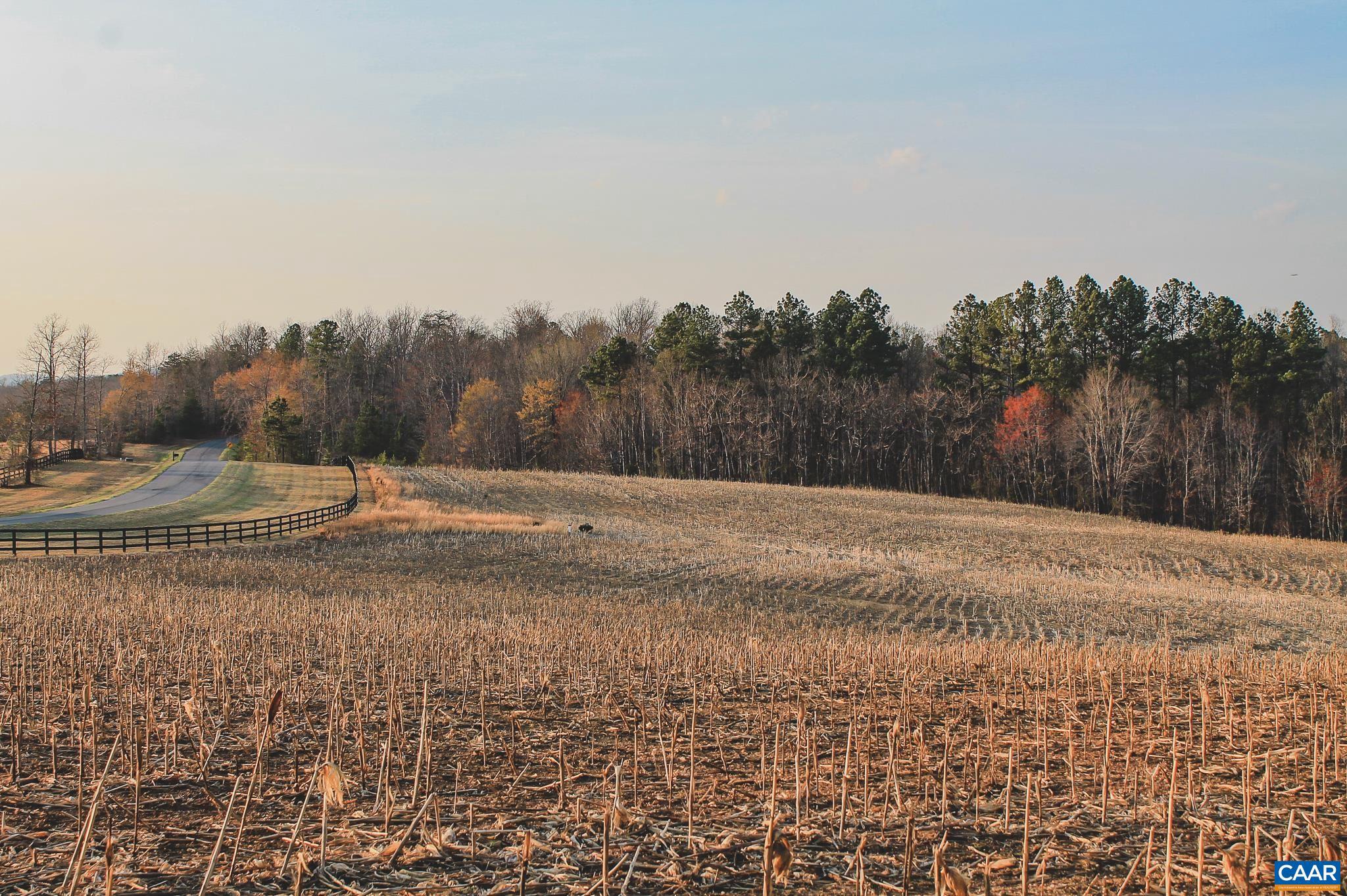 FARMS AT TURKEY RUN - Land