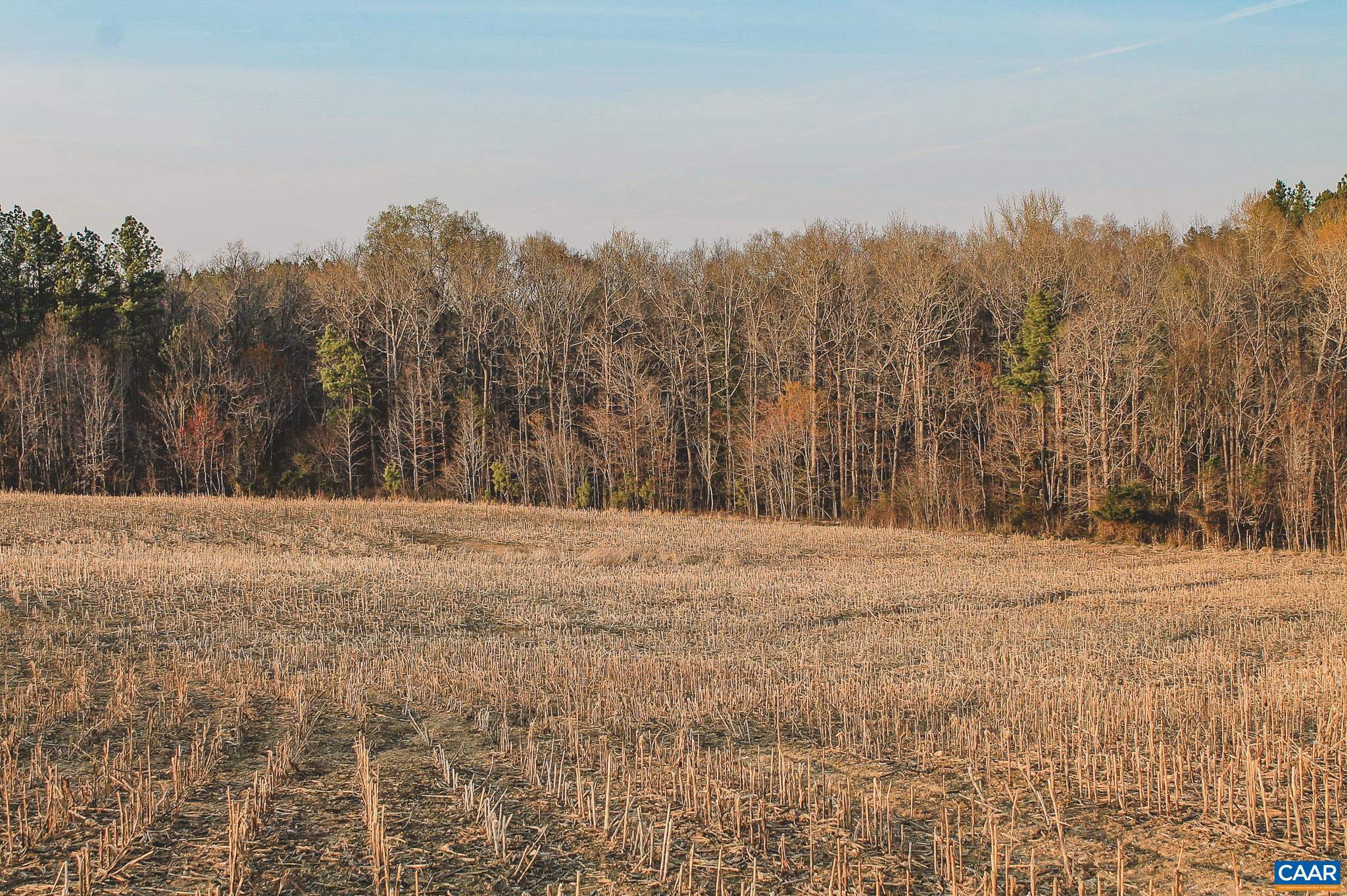 FARMS AT TURKEY RUN - Land