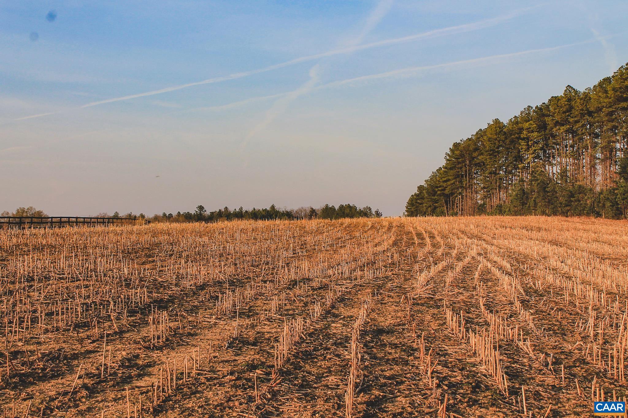 FARMS AT TURKEY RUN - Land