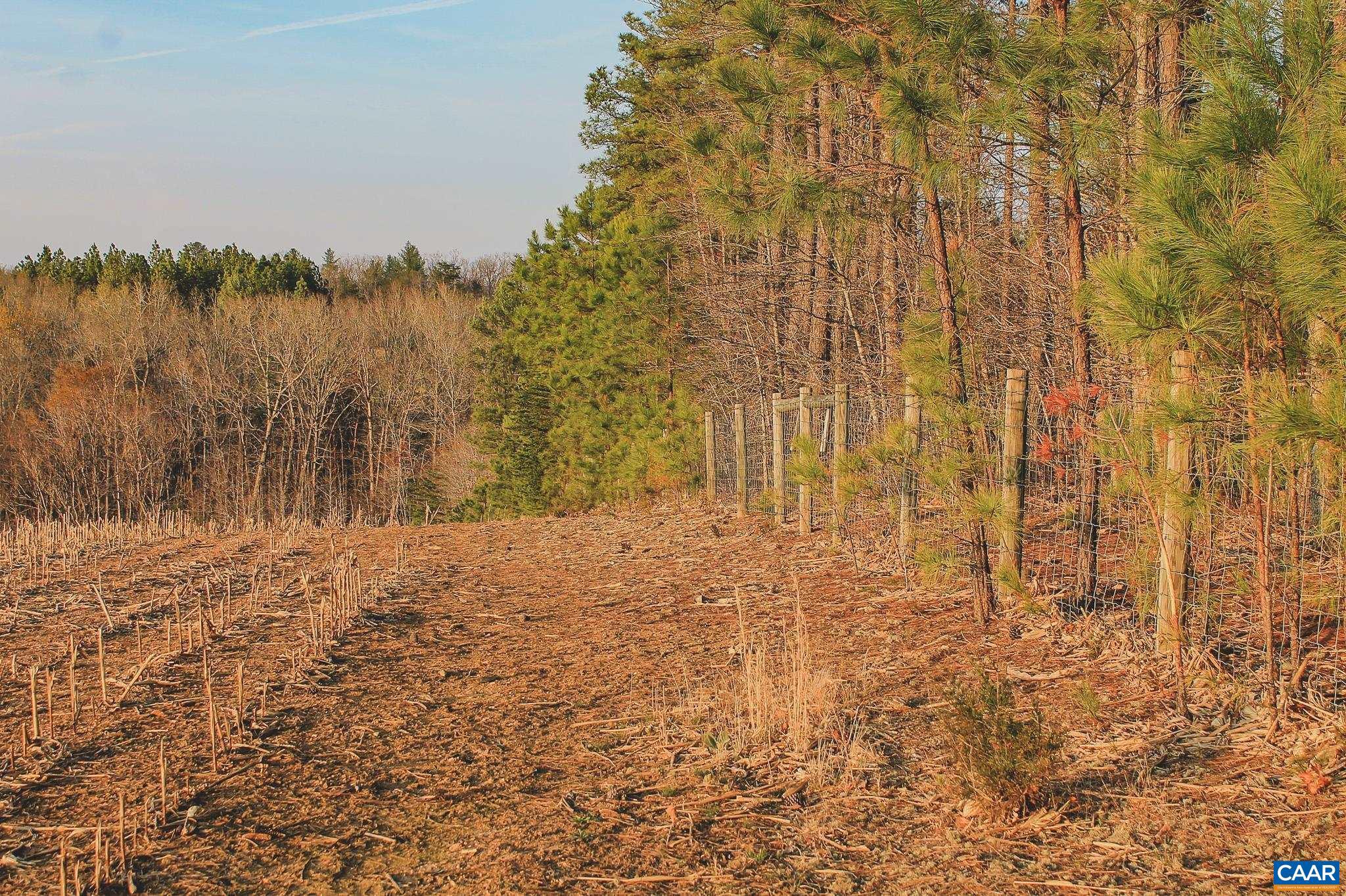 FARMS AT TURKEY RUN - Land