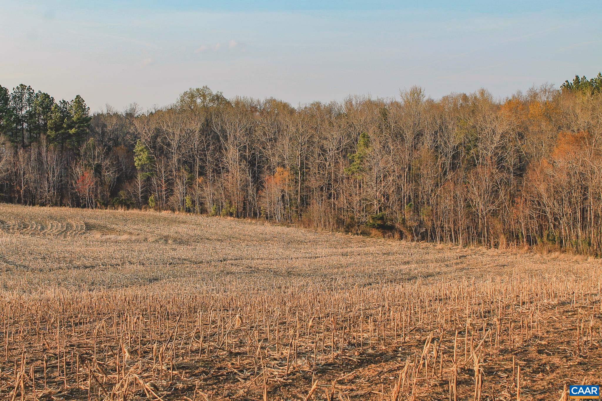 FARMS AT TURKEY RUN - Land
