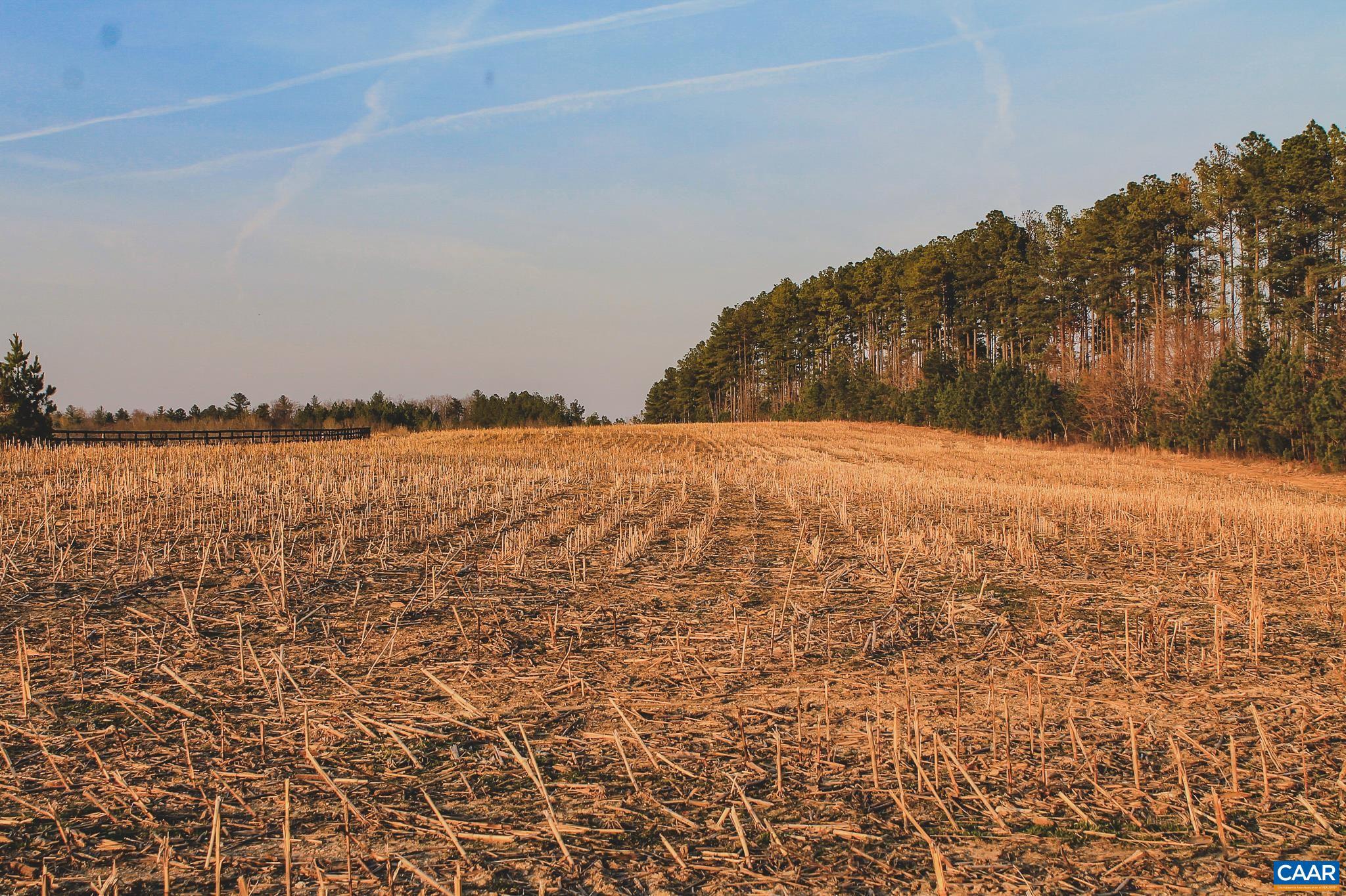 FARMS AT TURKEY RUN - Land