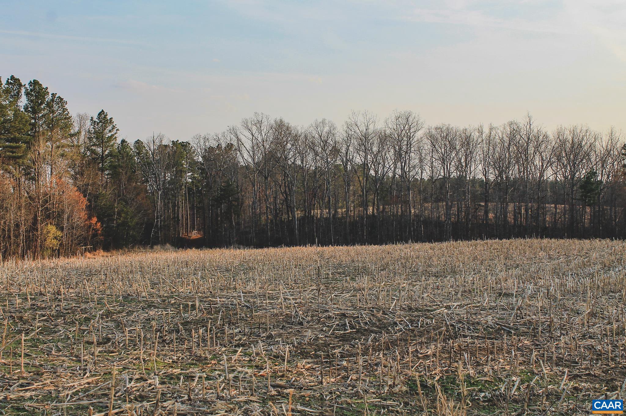 FARMS AT TURKEY RUN - Land