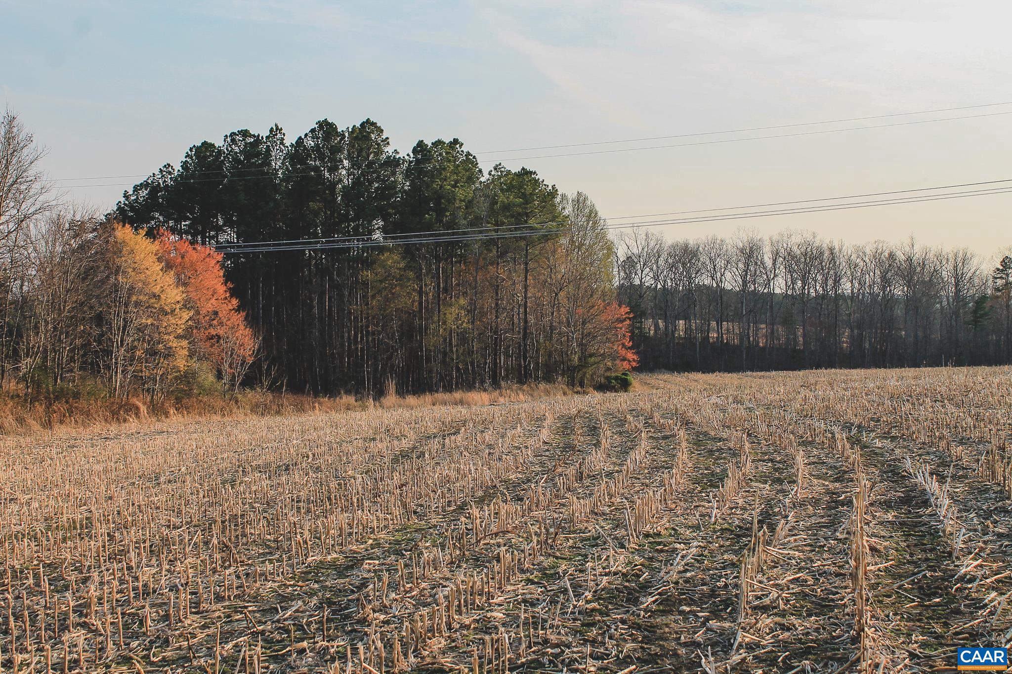 FARMS AT TURKEY RUN - Land