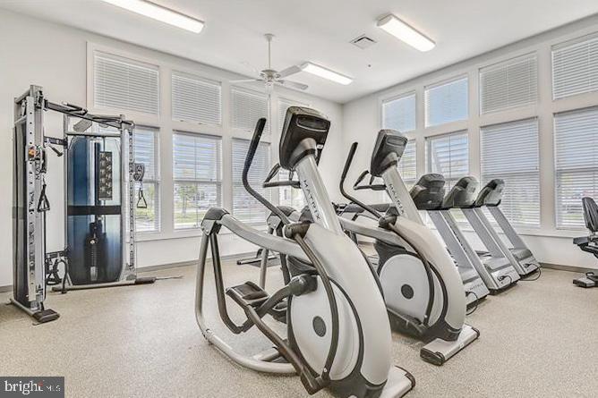 BAY BRIDGE COVE - Residential