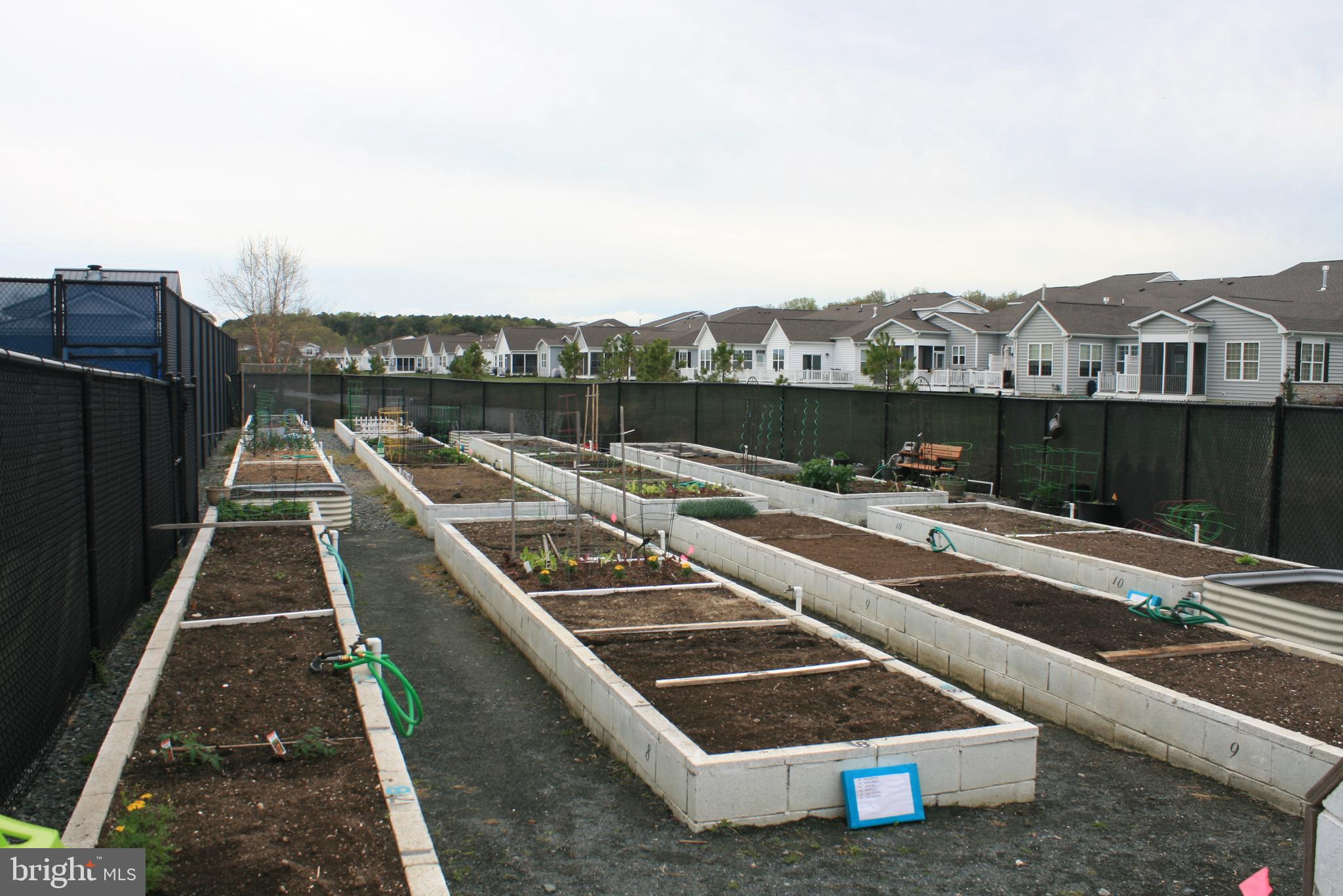 BAY BRIDGE COVE - Residential