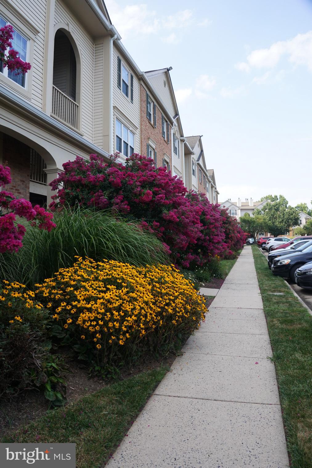 LEE LANDING - Residential