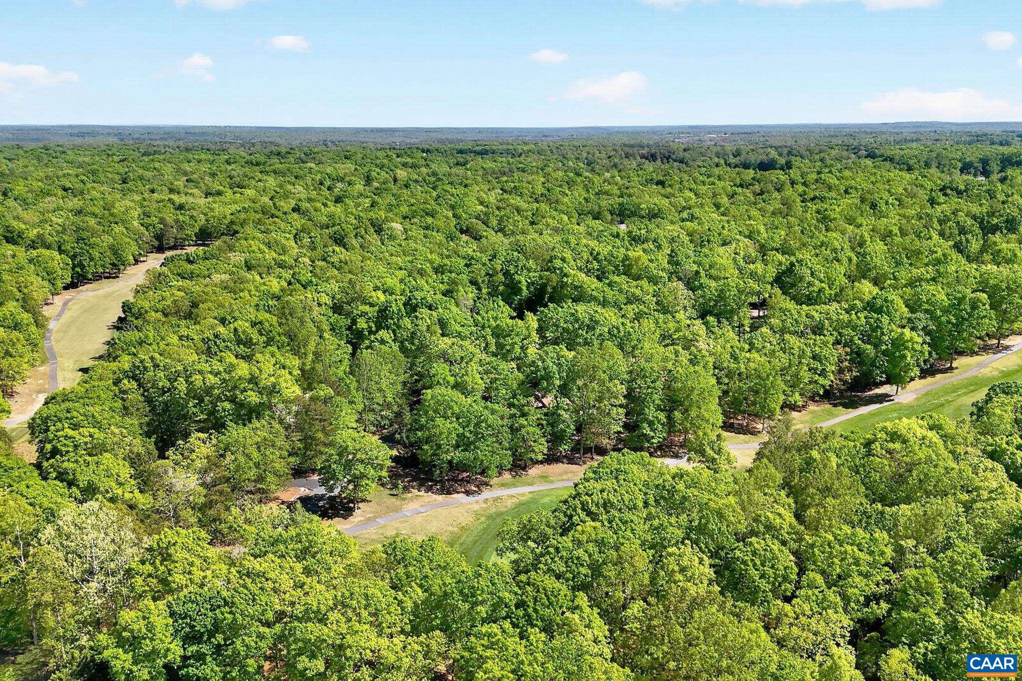 LAKE MONTICELLO - Residential