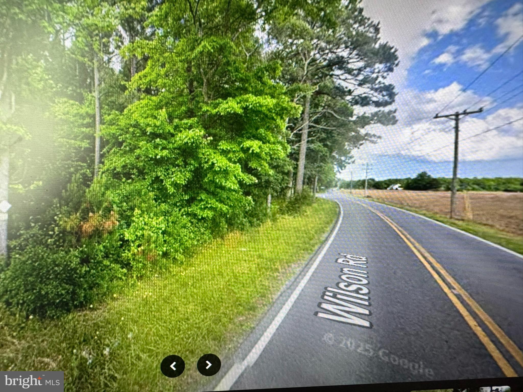 WILSON RD