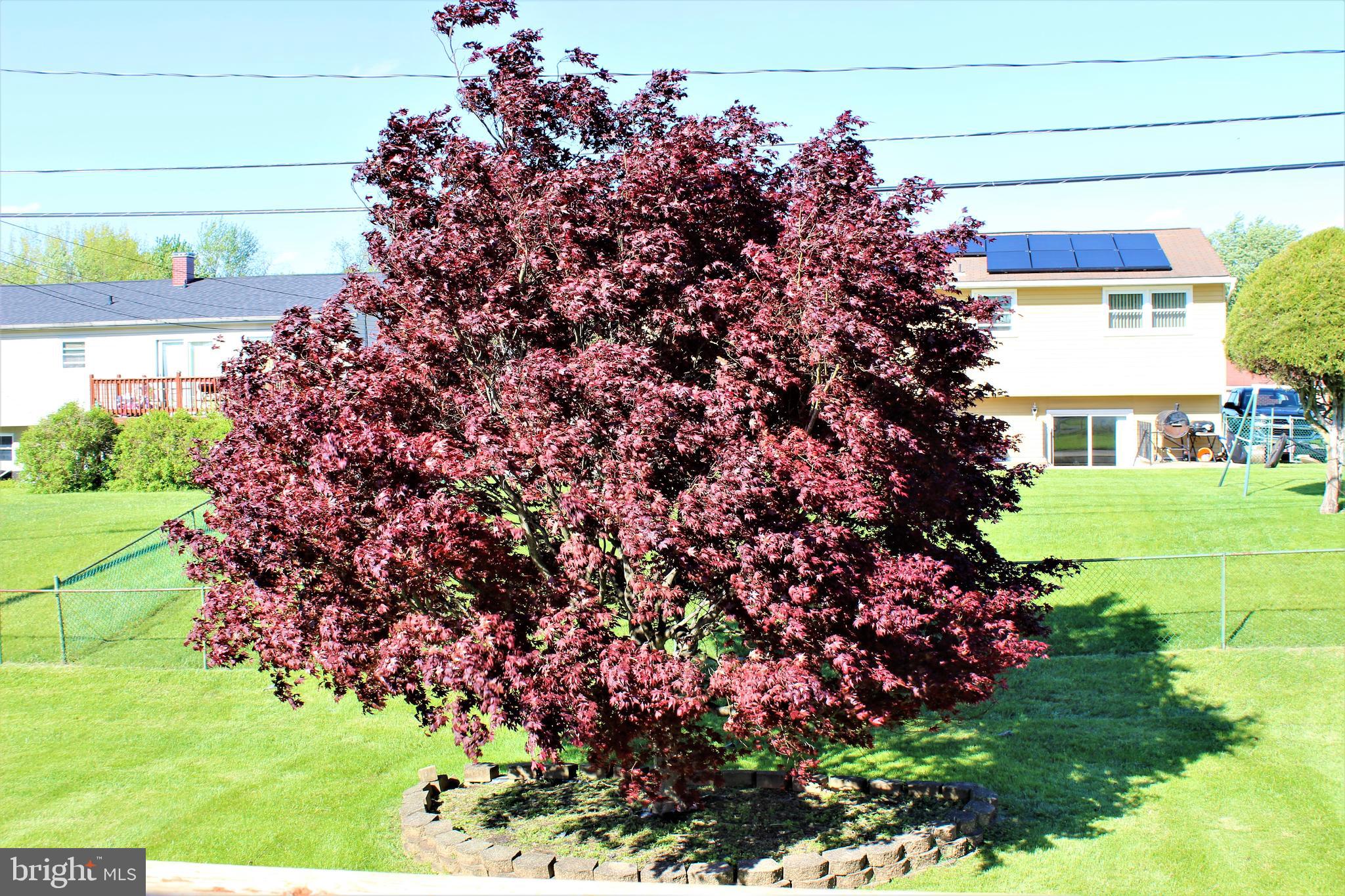 DEERFIELD - Residential