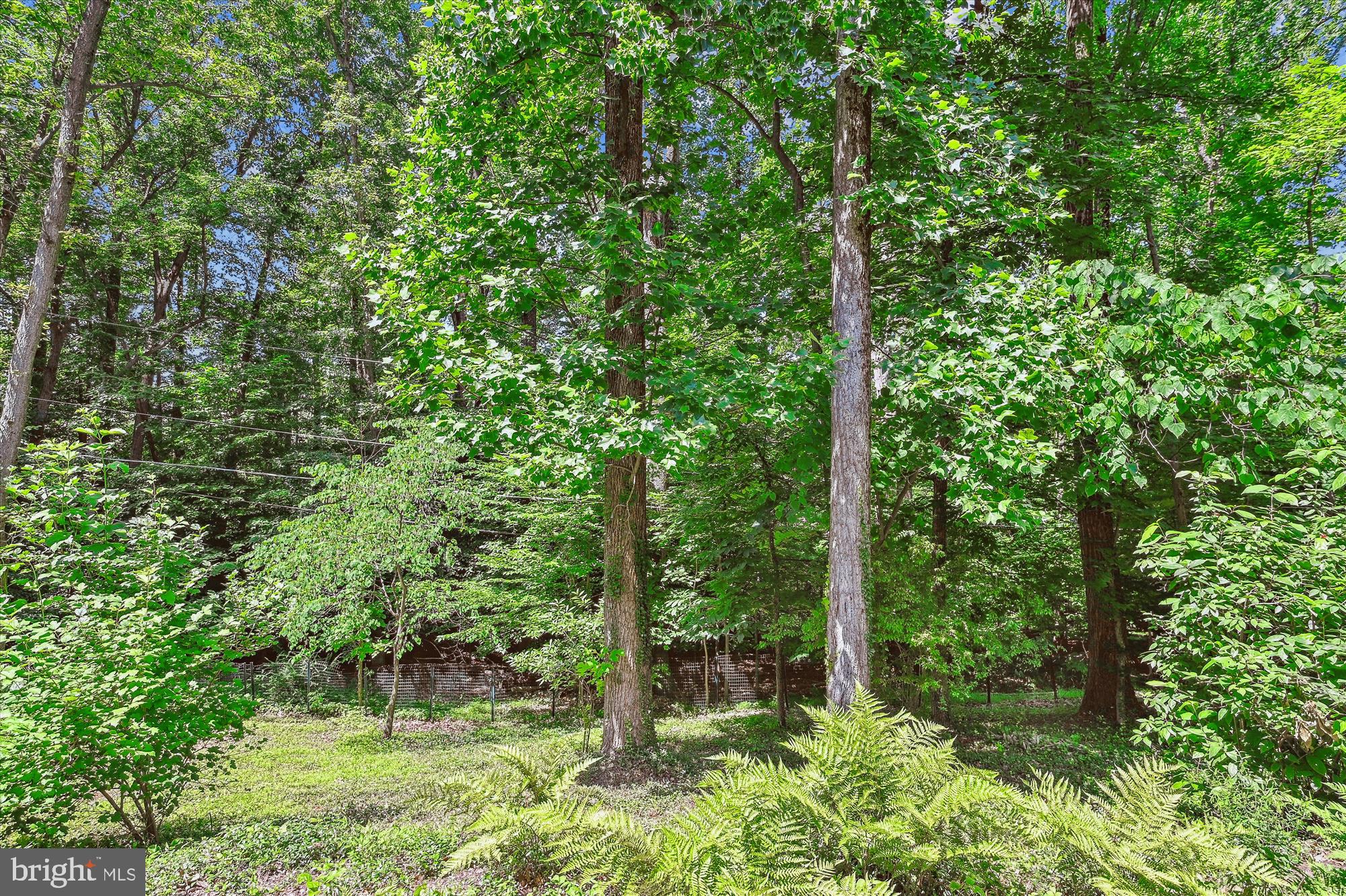 OAK FOREST - Residential