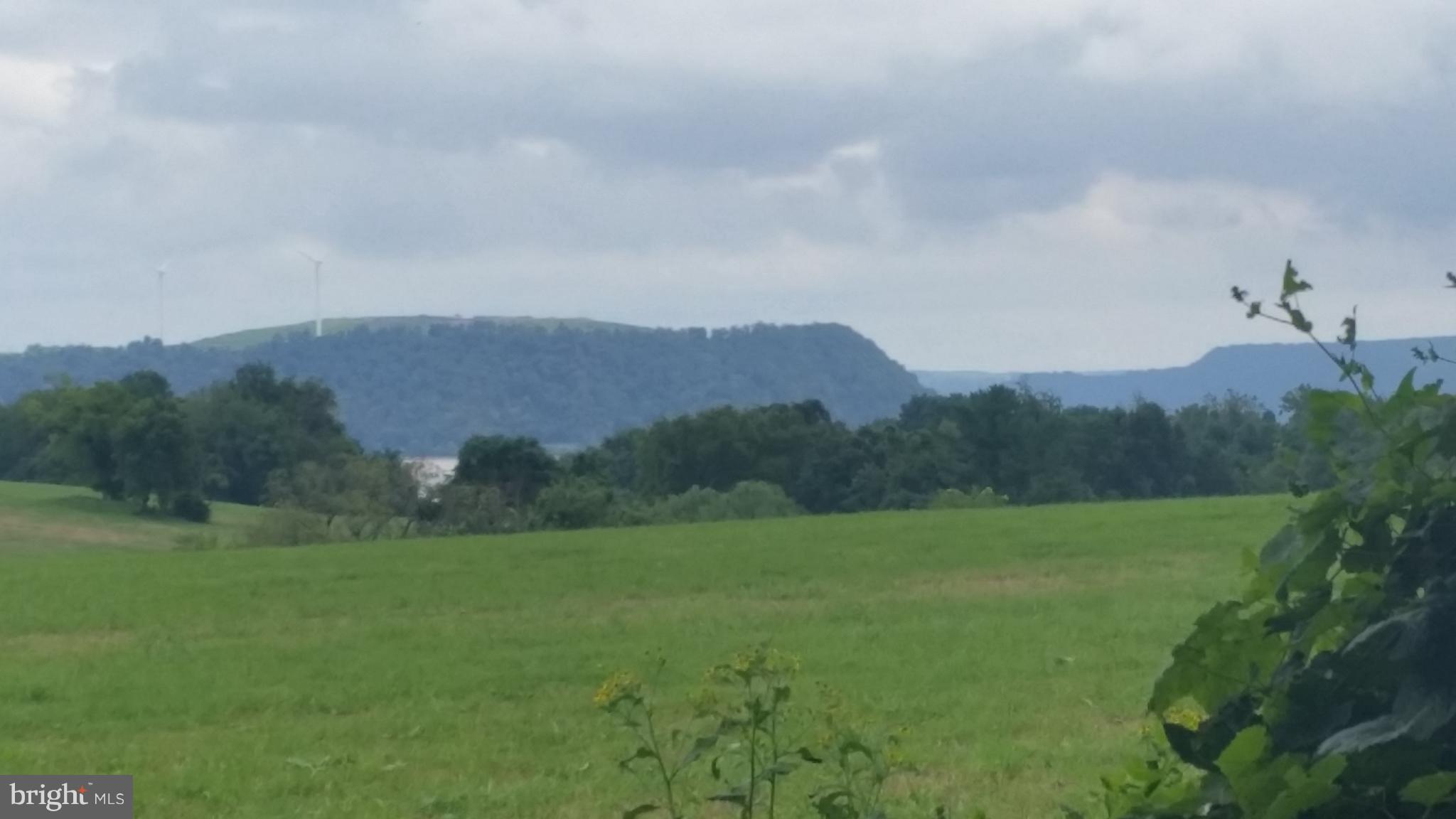 LOWER WINDSOR TWP - Farm