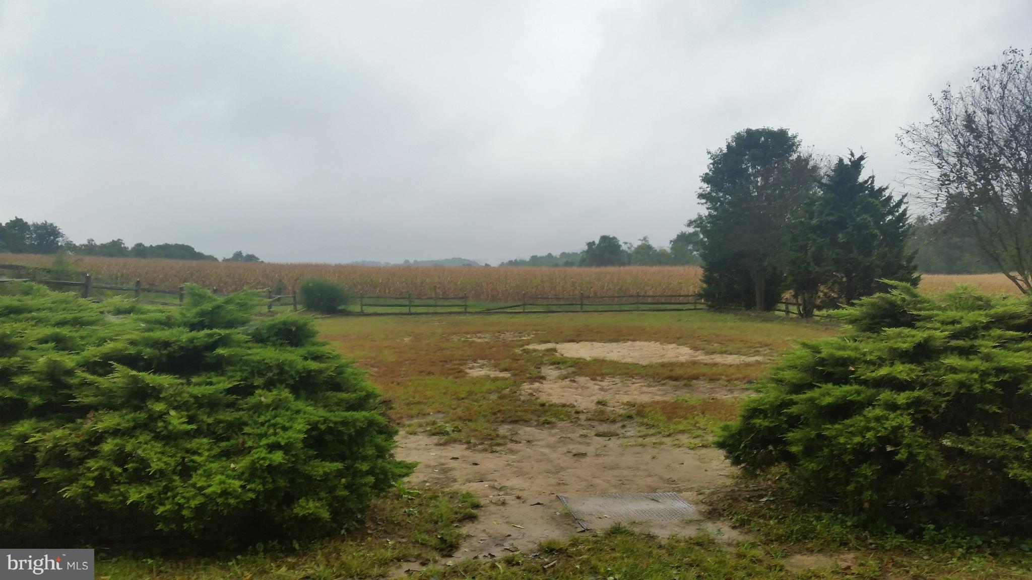 LOWER WINDSOR TWP - Farm
