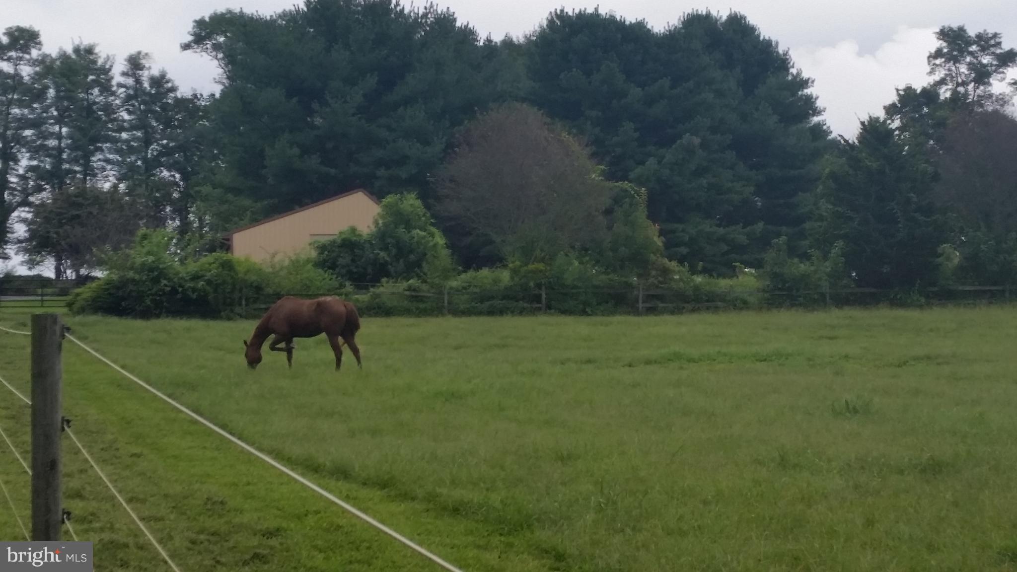 LOWER WINDSOR TWP - Farm