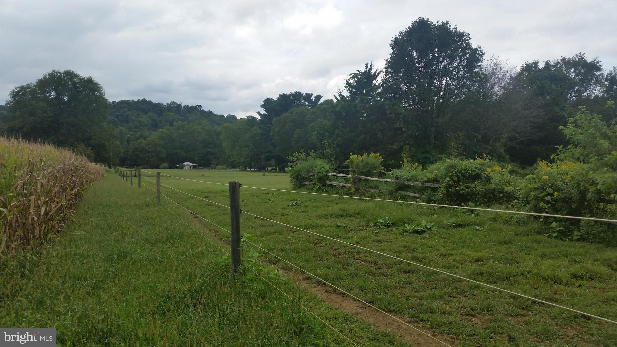 LOWER WINDSOR TWP - Farm