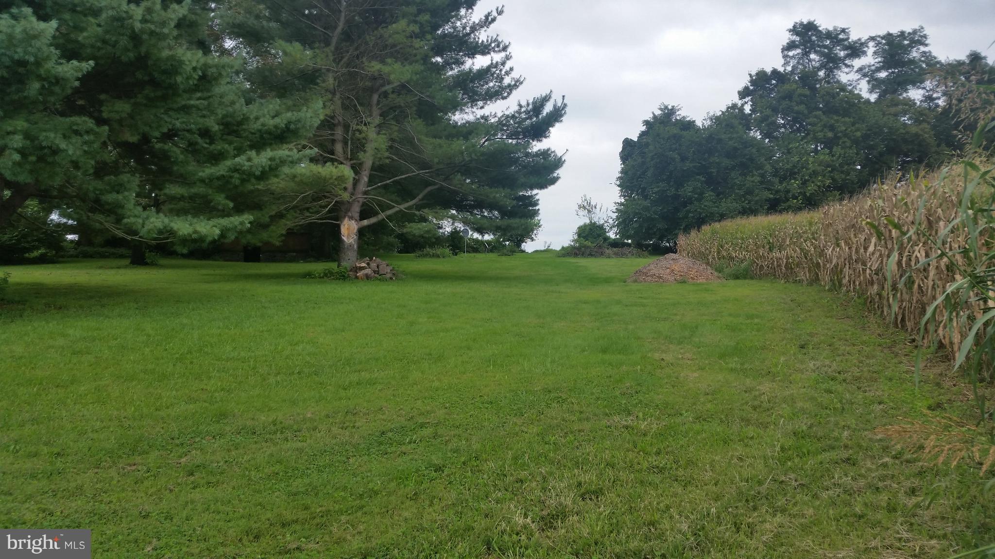 LOWER WINDSOR TWP - Farm